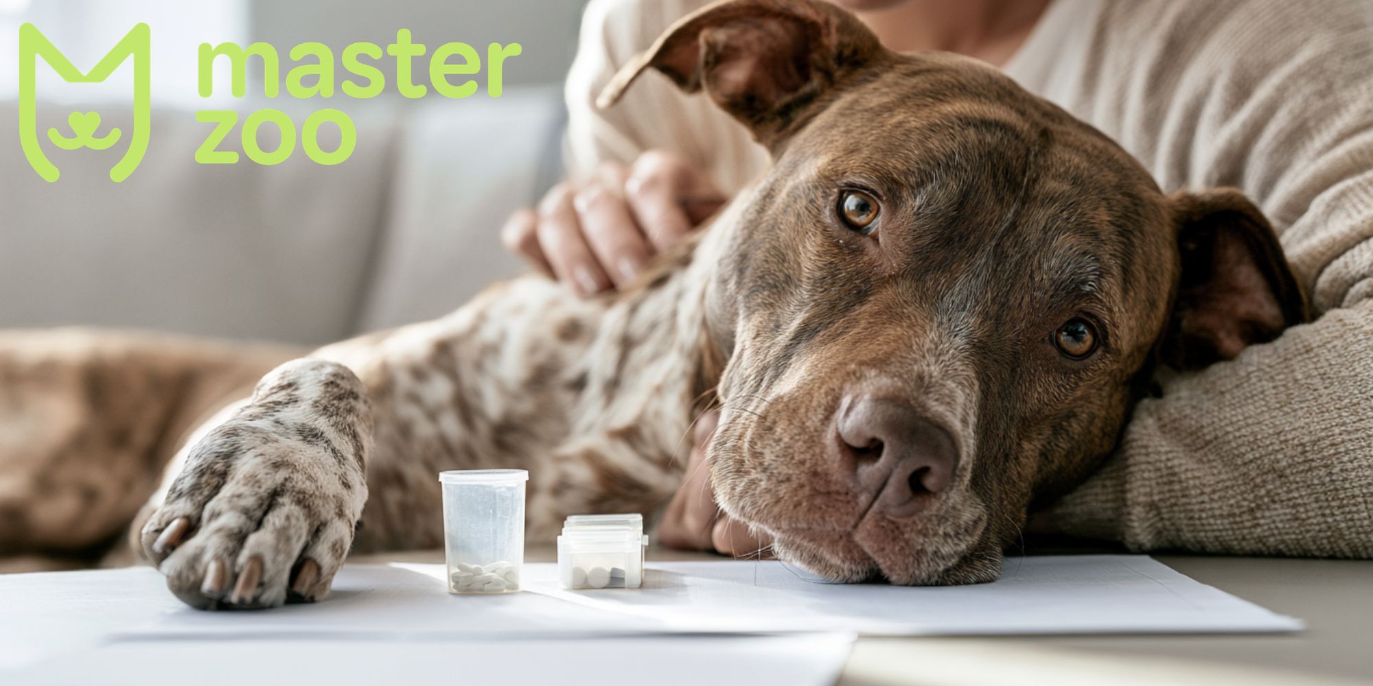 догляд за собачкою | MasterZoo