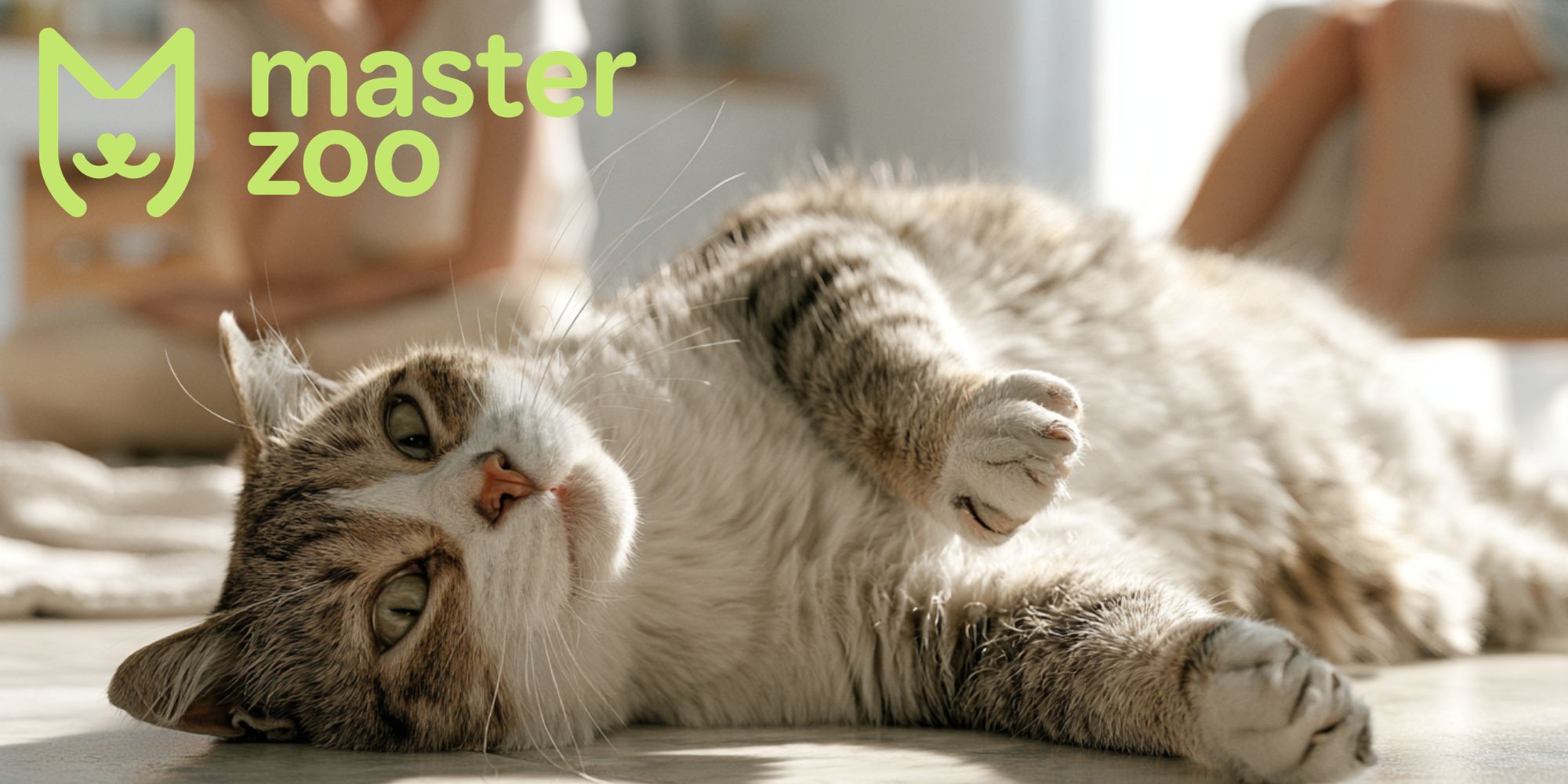 напад епілепсії у кота |  MasterZoo