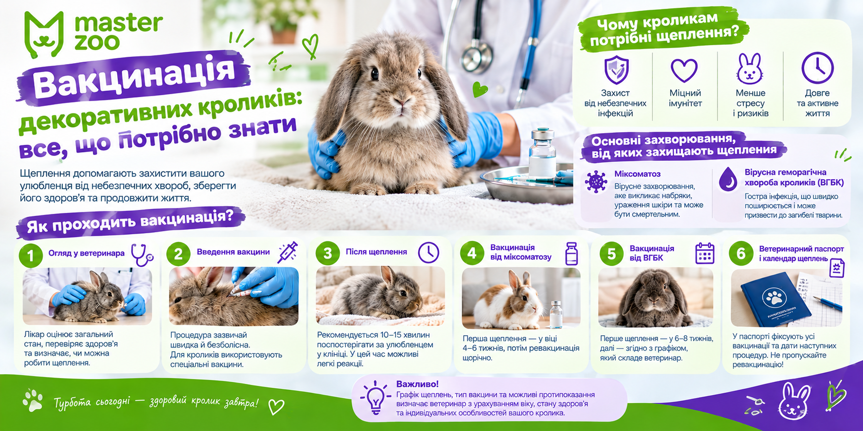 Інфографіка вакцинація декоративного кролика | MasterZoo