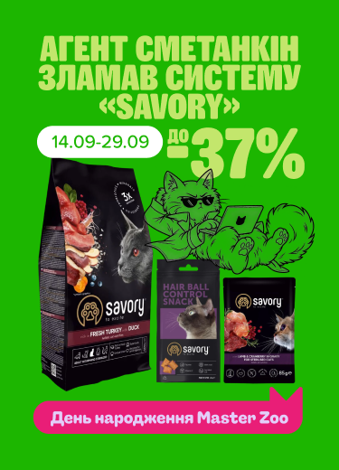 Агент Сметанкін зламав систему «Savory»