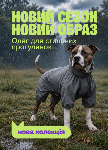 Одяг для стильних прогулянок