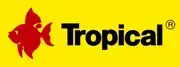 Tropical