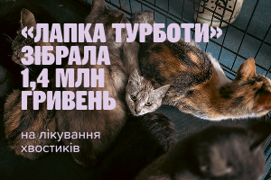 «Лапка турботи» зібрала 1,4 мільйона гривень на лікування тварин у прифронтових регіонах