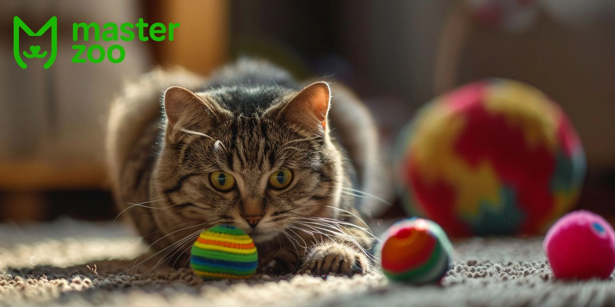 іграшки для котаі |MasterZoo