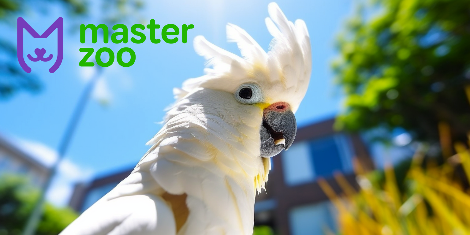 Папуга | Зоомагазин MasterZoo