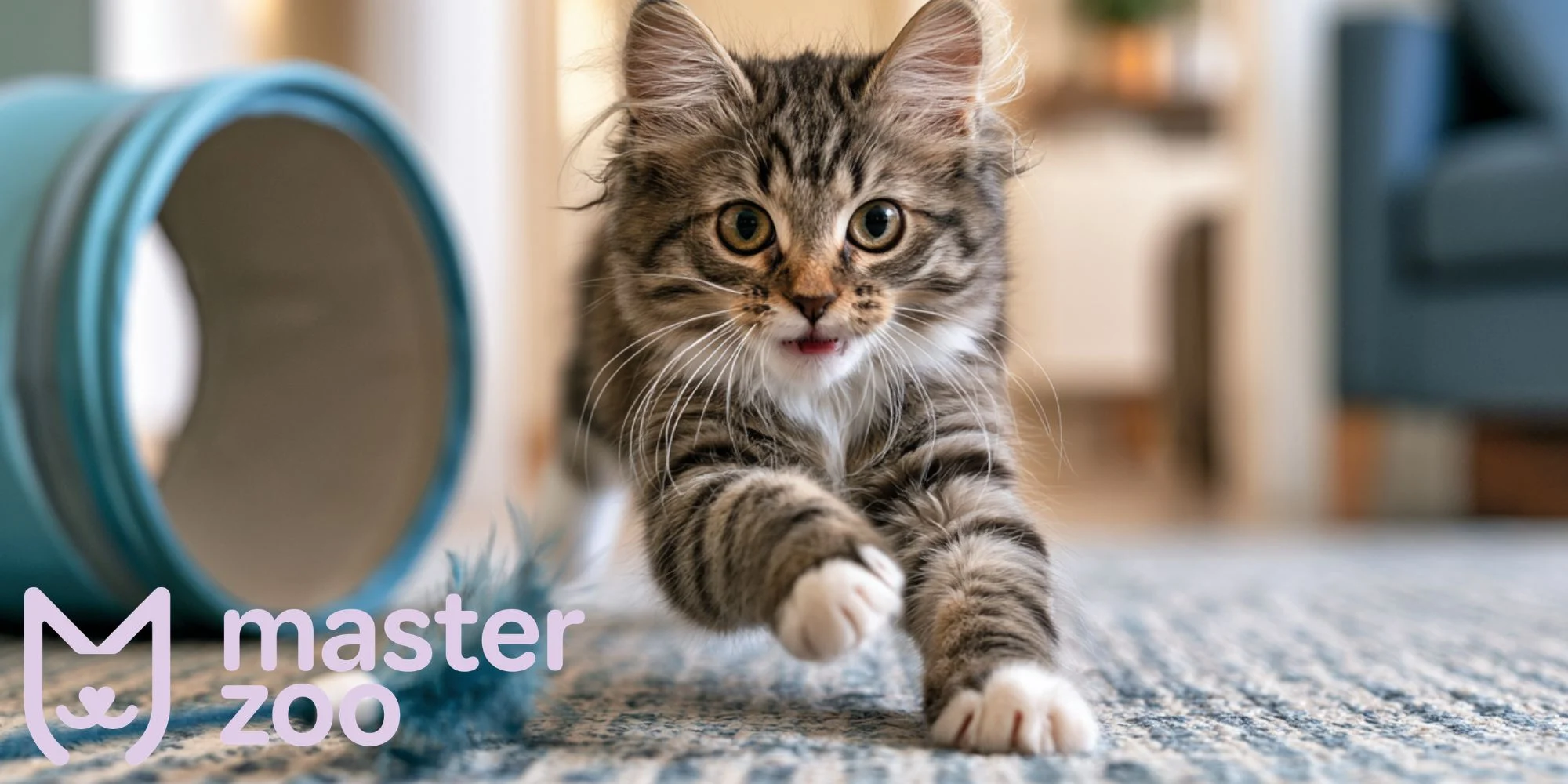 кіт в лабіринті |  MasterZoo 
