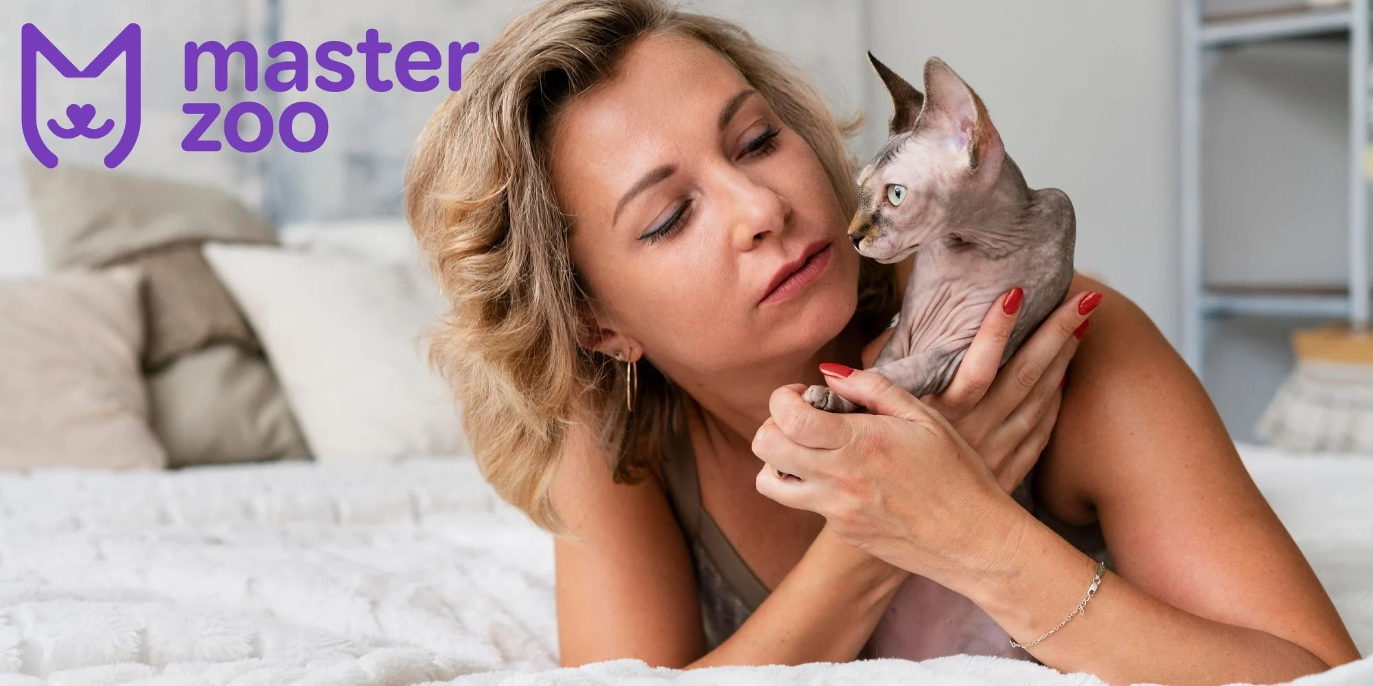 кошка сфинкс | MasterZoo