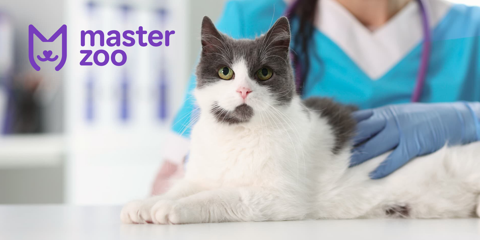 Хвороби котів | MasterZoo