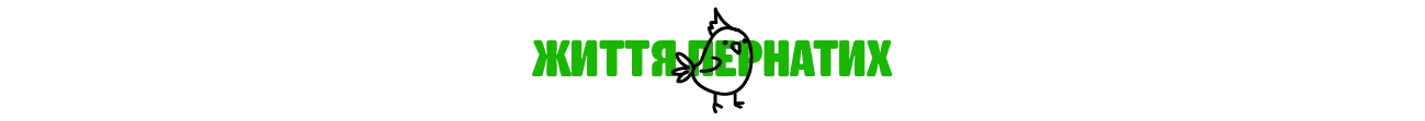 роздільник | Зоомагазин MasterZoo