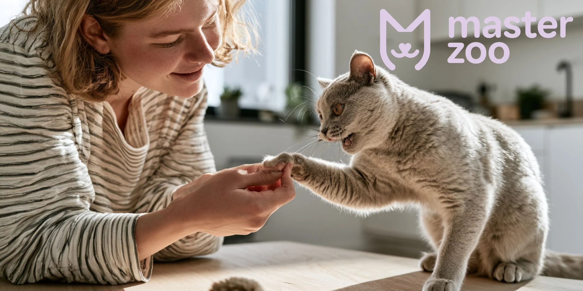 іграшки для кота | MasterZoo