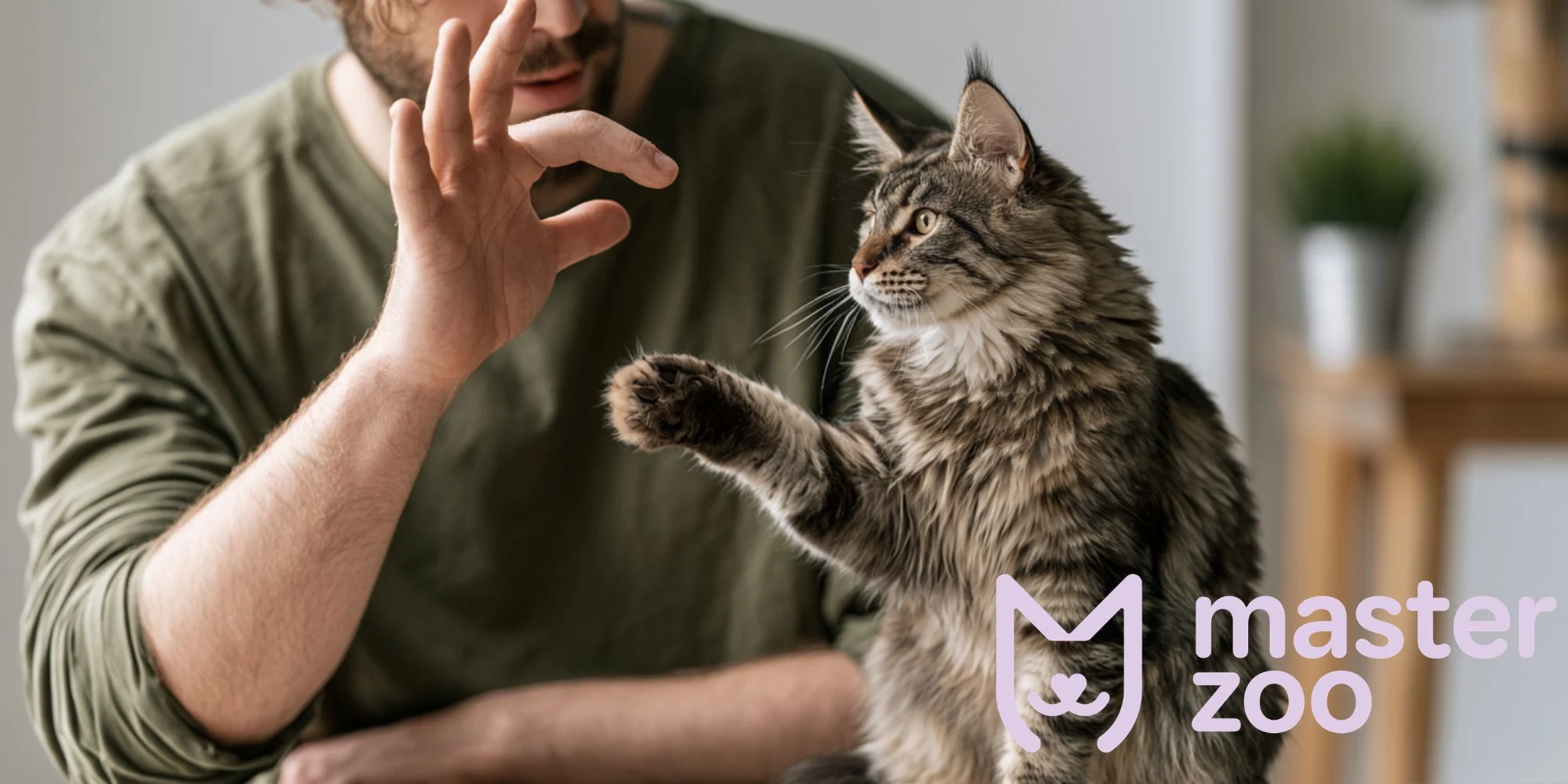 ласощі для дресирування кота |  MasterZoo