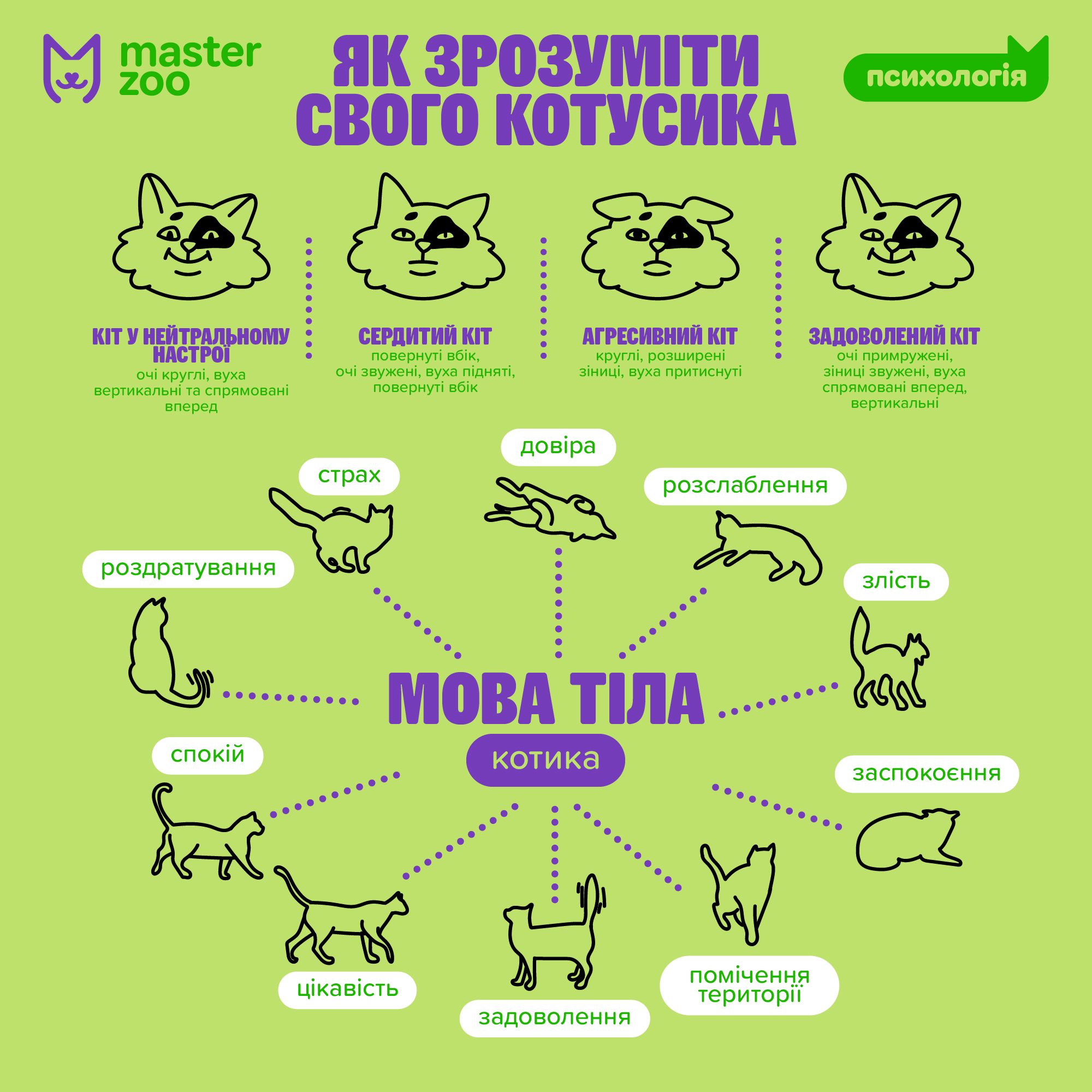 Інфографіка | Зоомагазин MasterZoo