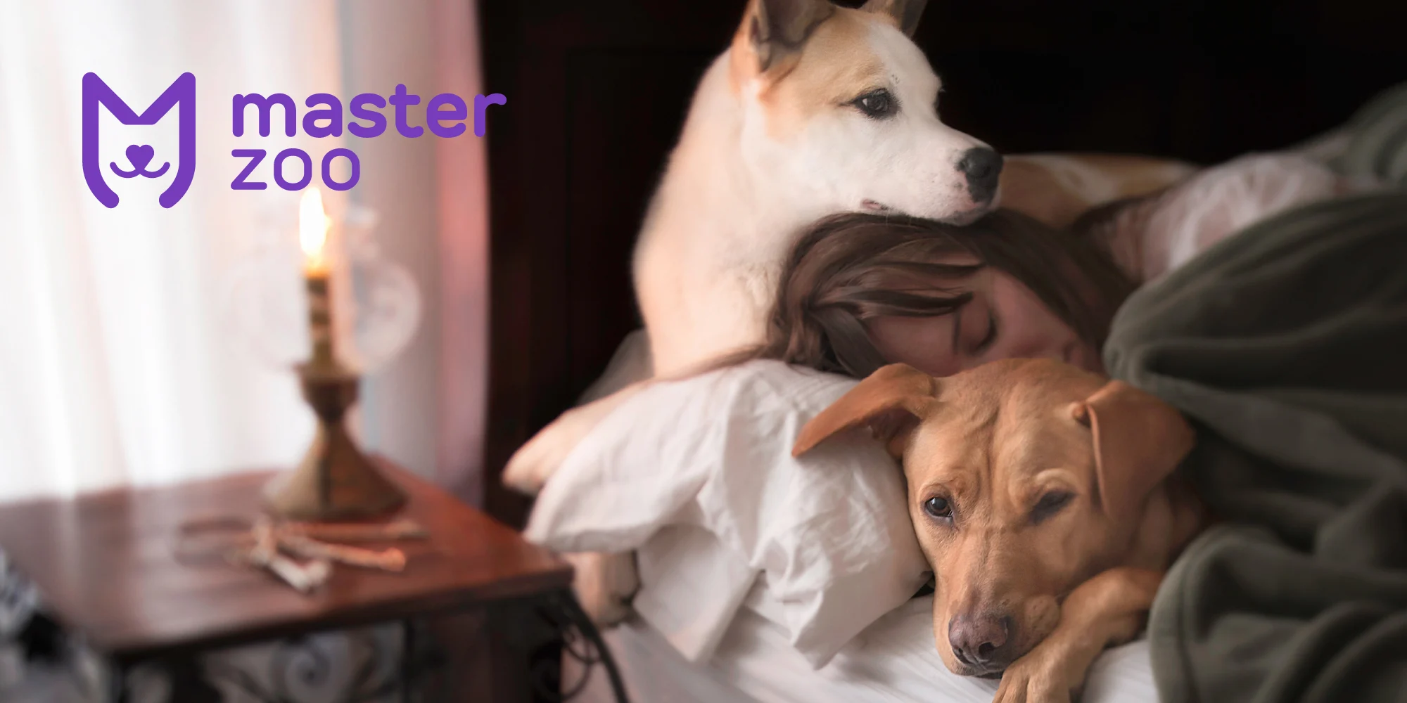 Собака | Зоомагазин MasterZoo