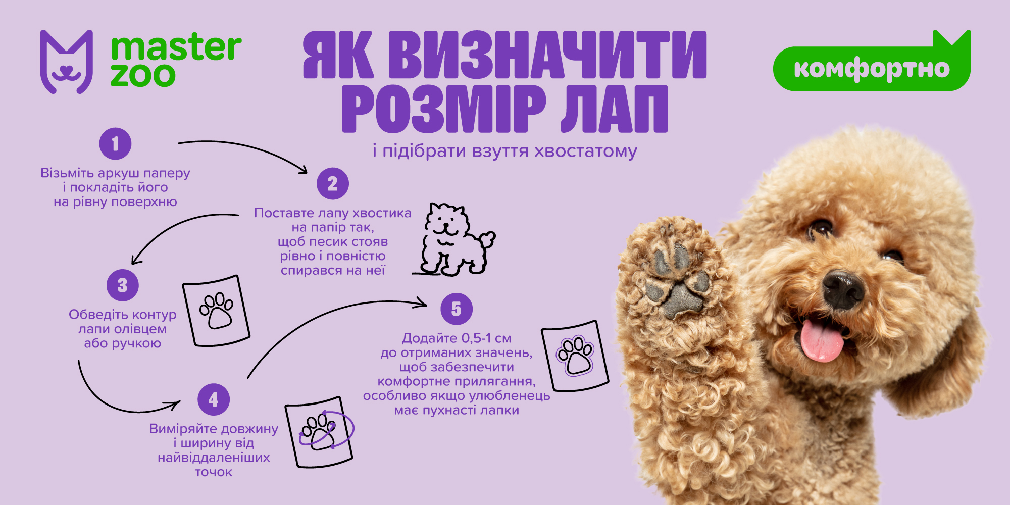 Инфографика как определить размер собаки | MasterZoo