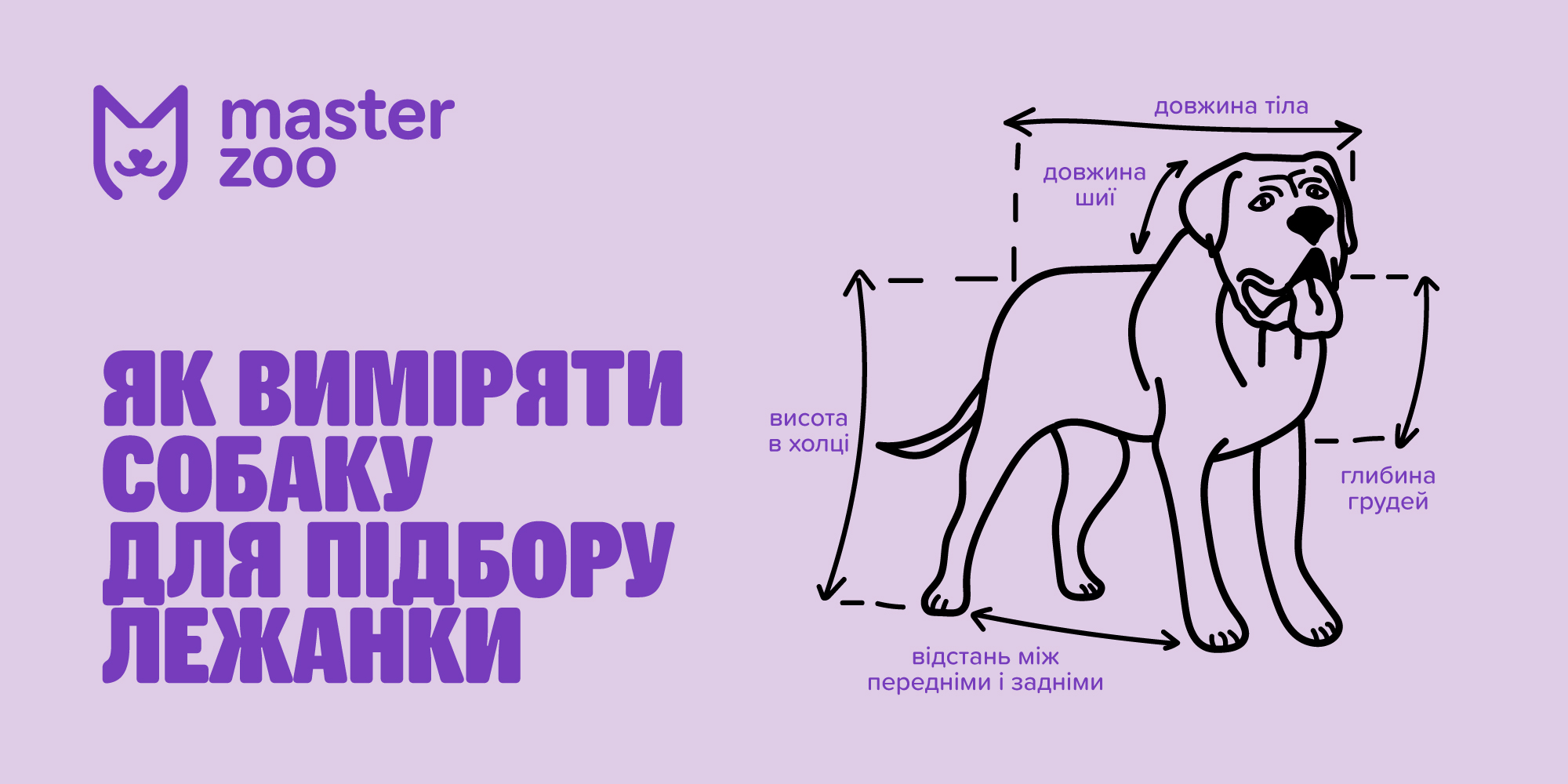 собака на лежаку | MasterZoo