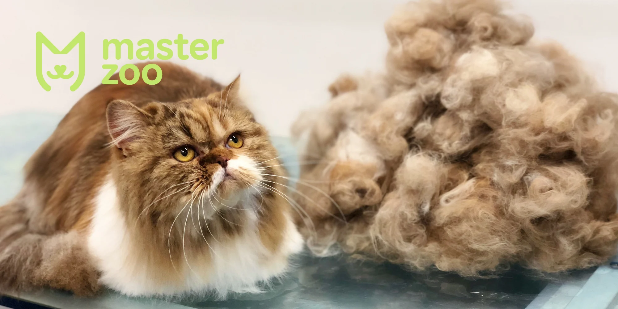 Ковтуни укота  | Зоомагазин MasterZoo