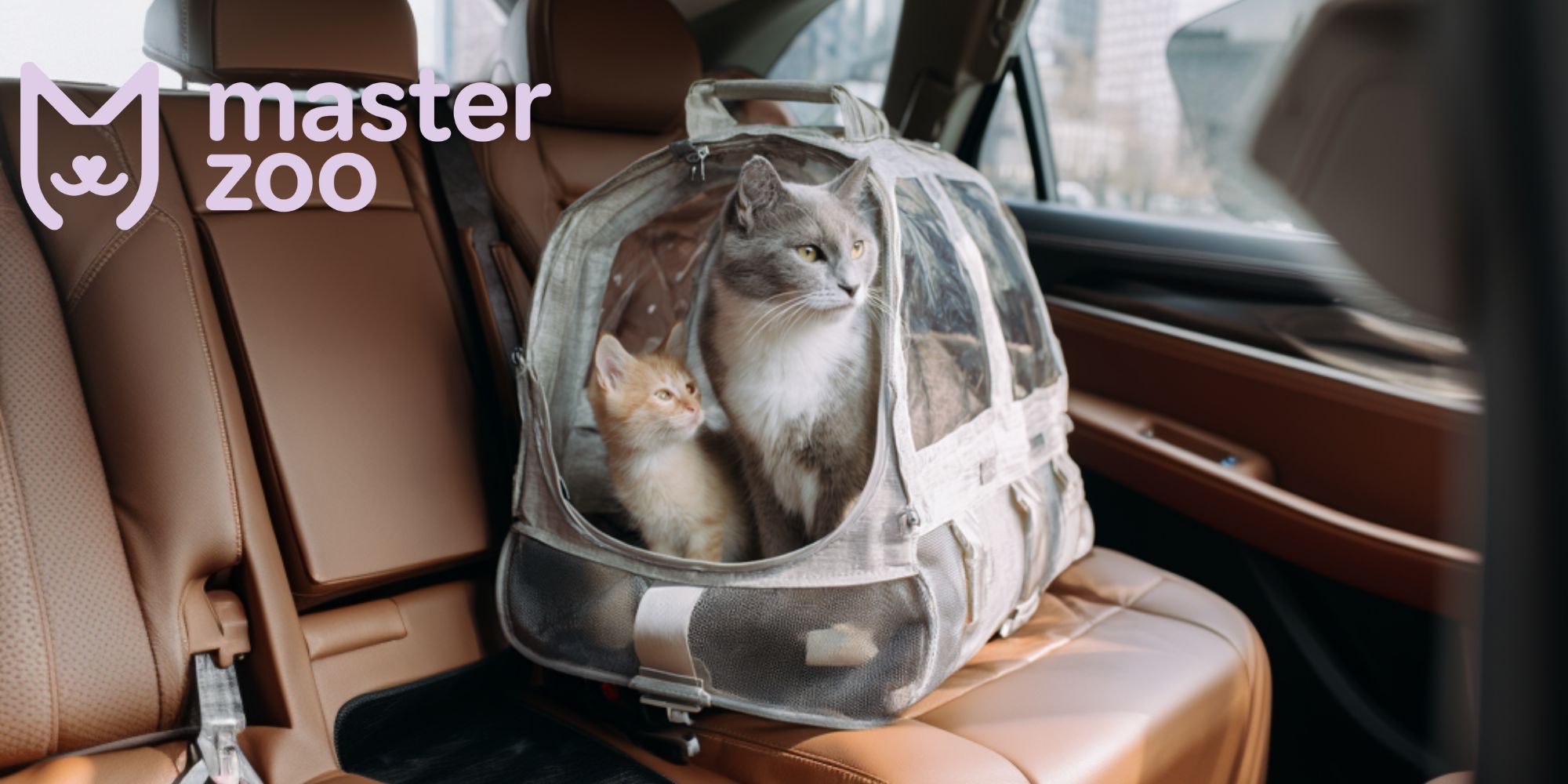Собака | Зоомагазин MasterZoo