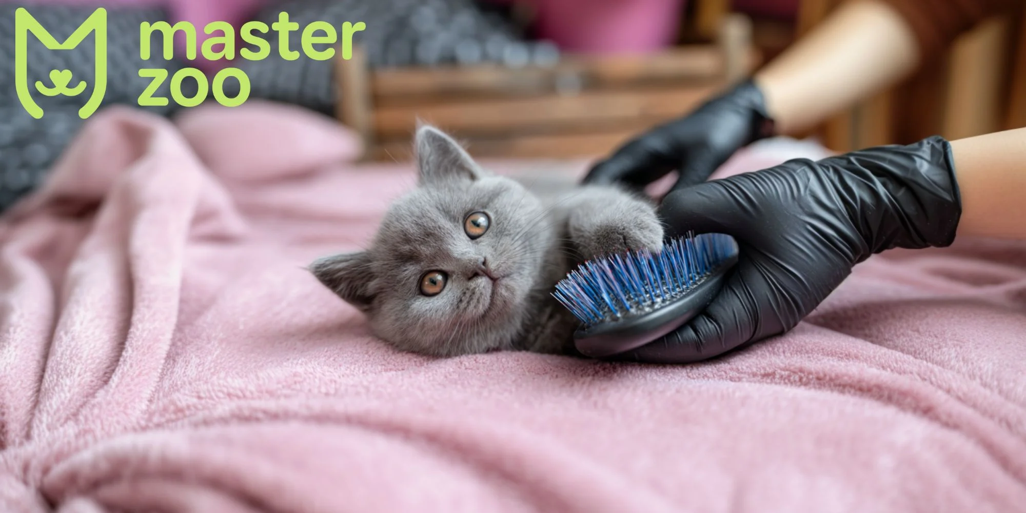гребінець для шотландського кота |  MasterZoo