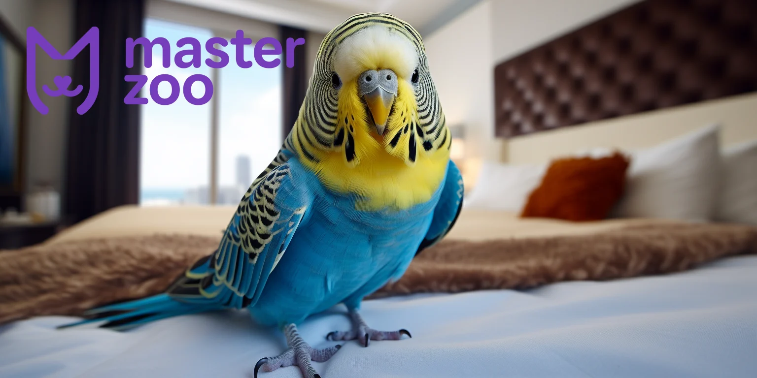 Папуга | Зоомагазин MasterZoo