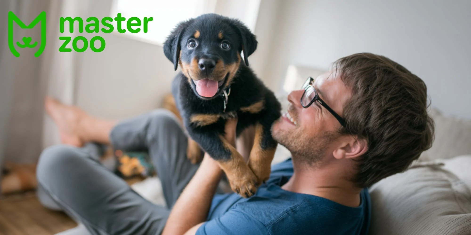 воспитание ротвейлера  |  MasterZoo