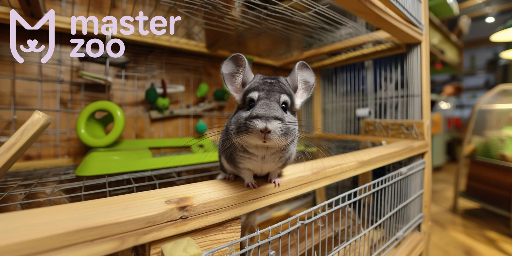 клітка для шиншили |  MasterZoo