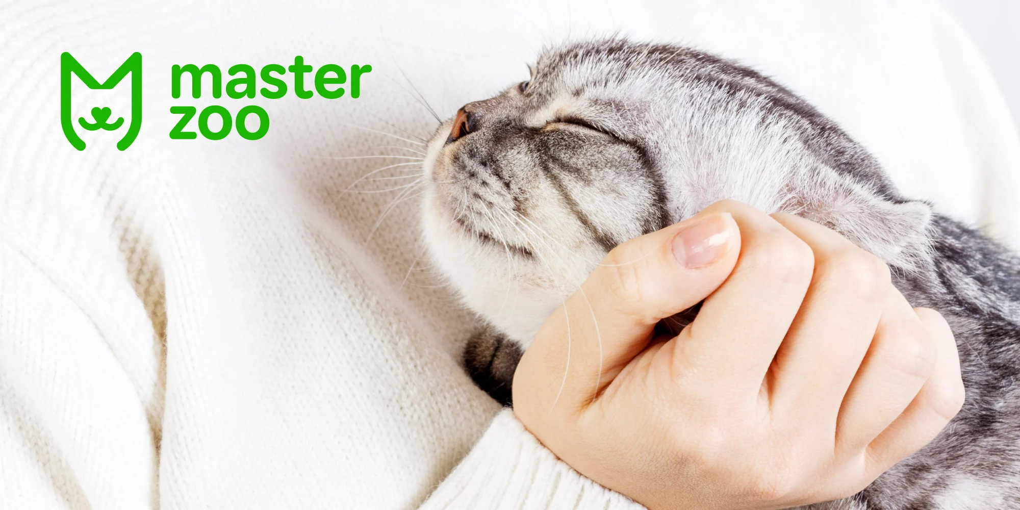 які бувають ласощі для котів  |MasterZoo