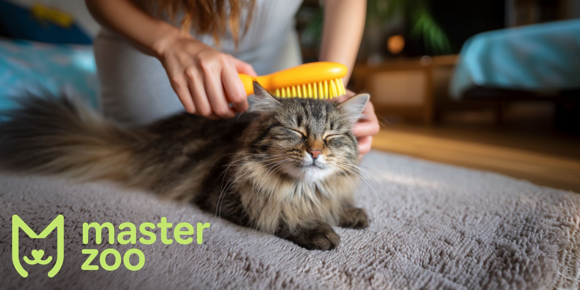 як привчити кота до гребінця  |  MasterZoo