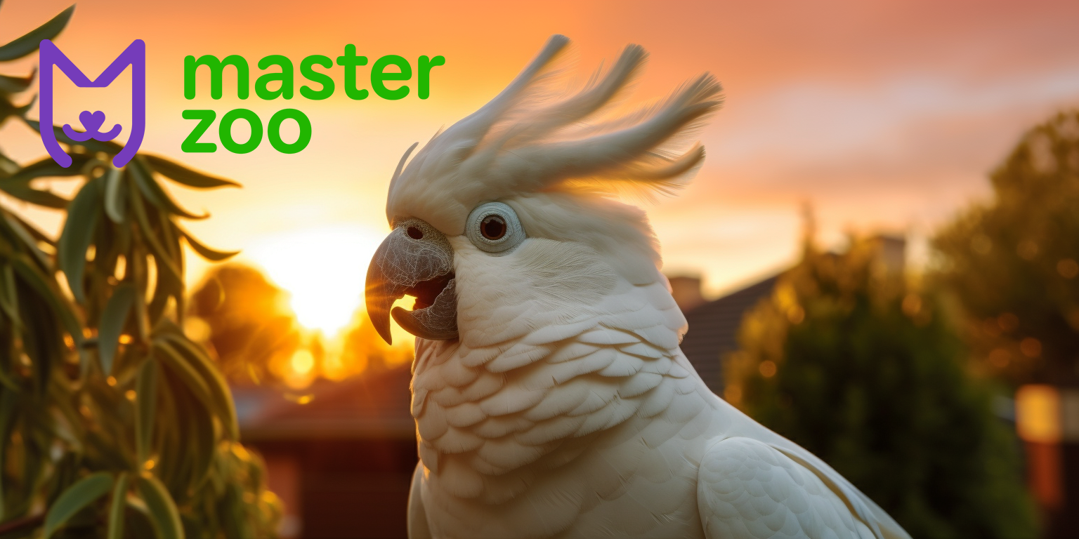Папужка | Зоомагазин MasterZoo