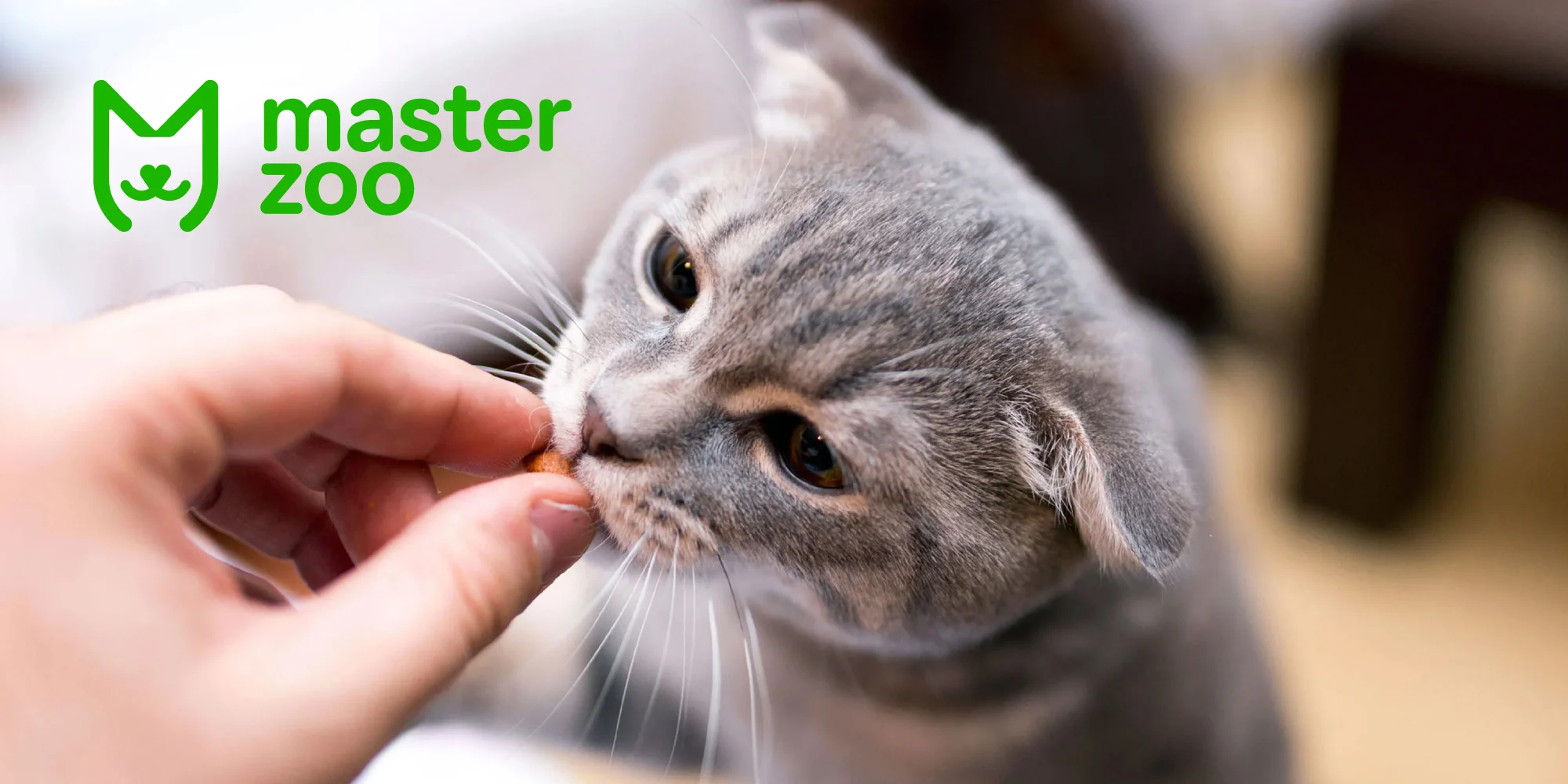 для чого ласлщі коту  | MasterZoo