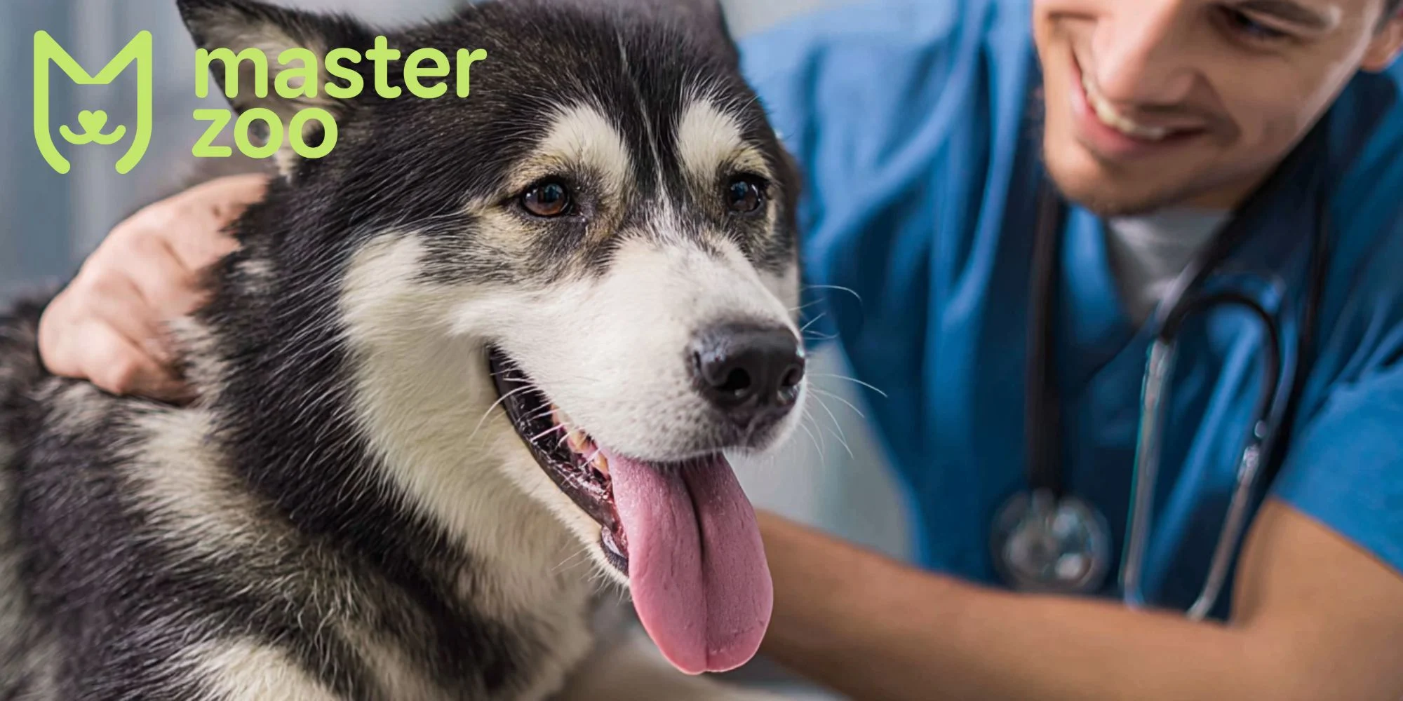 симптоми дисплазії | MasterZoo
