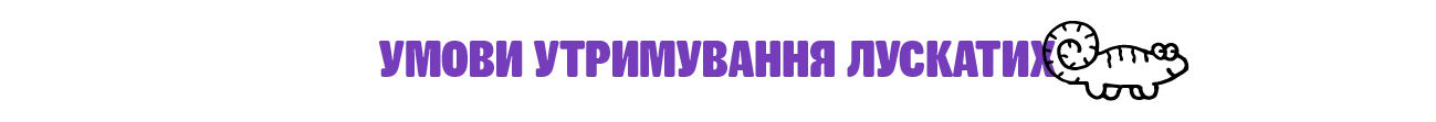 разделитель 3 | Зоомагазин MasterZoo