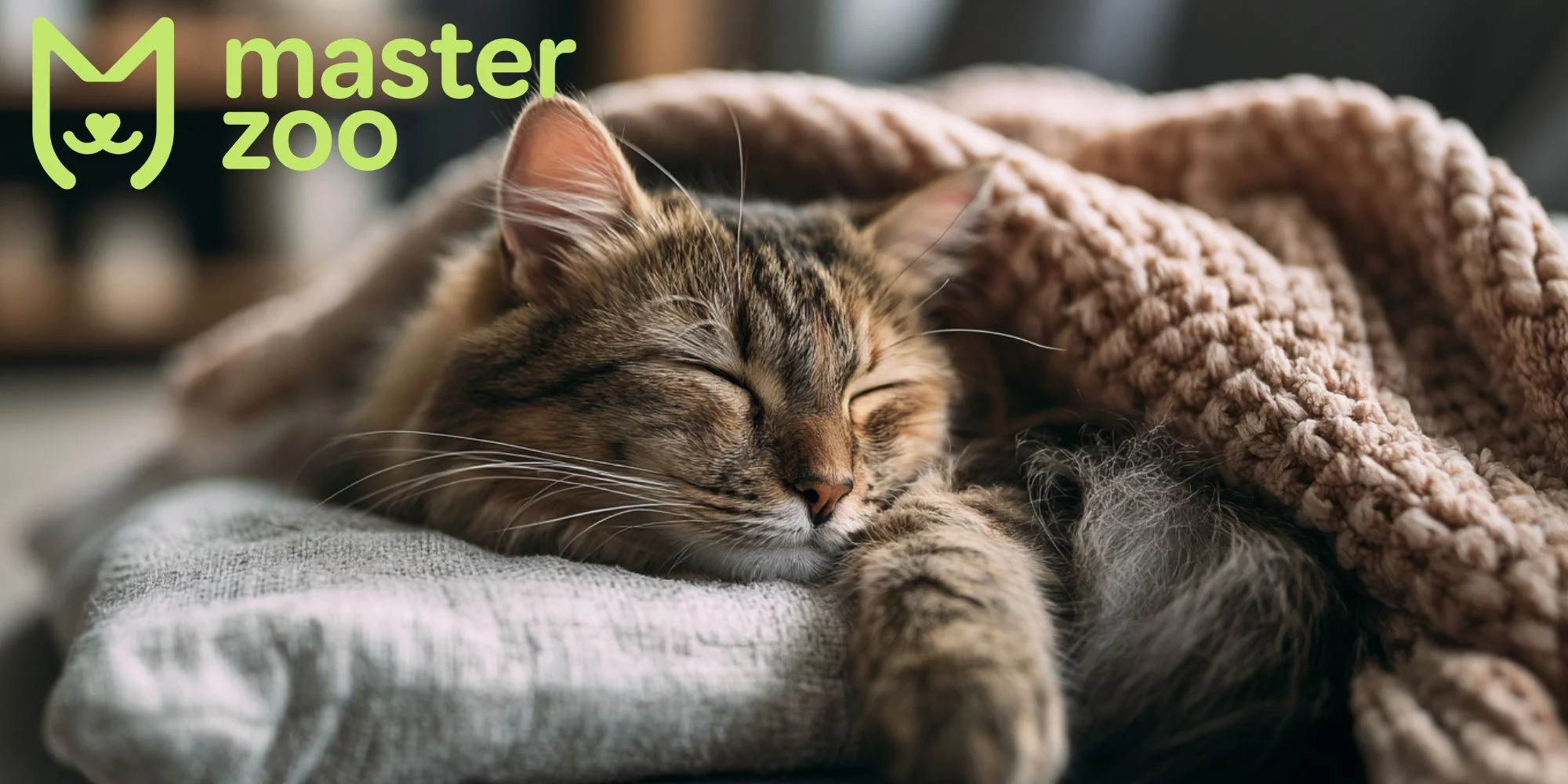 симптомы насморка у кота | MasterZoo