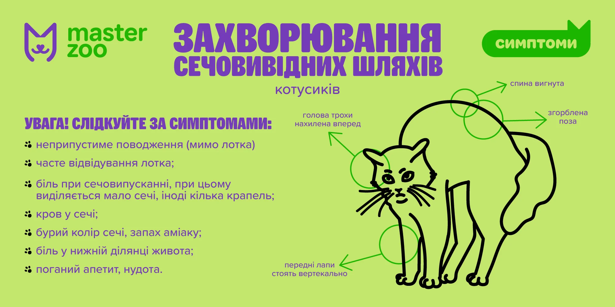 Кішка | Зоомагазин MasterZoo