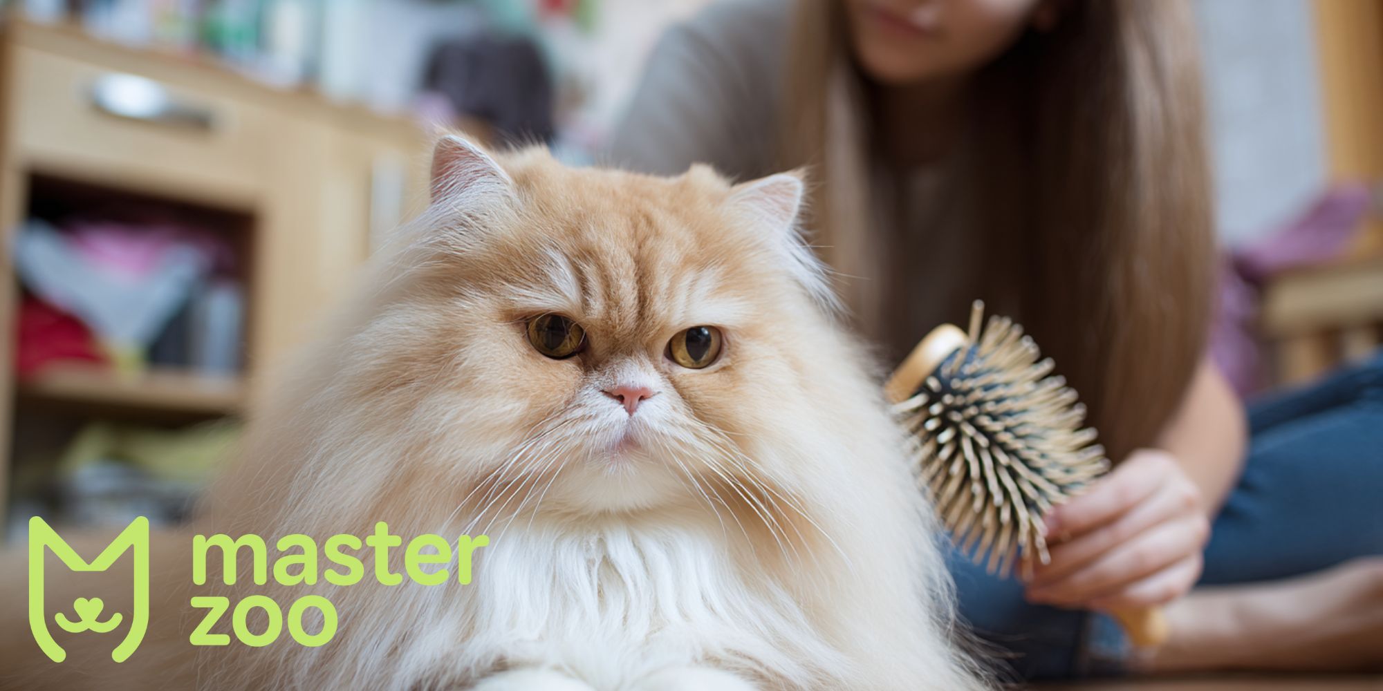 Повсякденний догляд за персом | MasterZoo