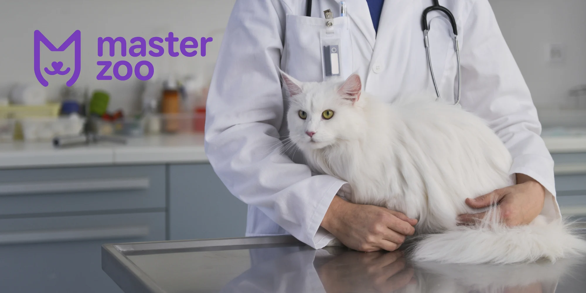 укол для кота у ветеринара | MasterZoo