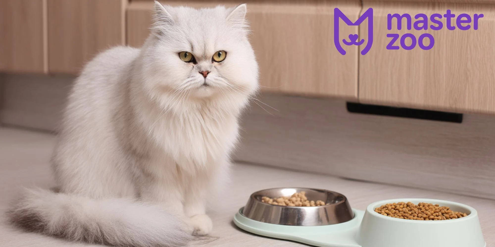 Харчування кота | MasterZoo