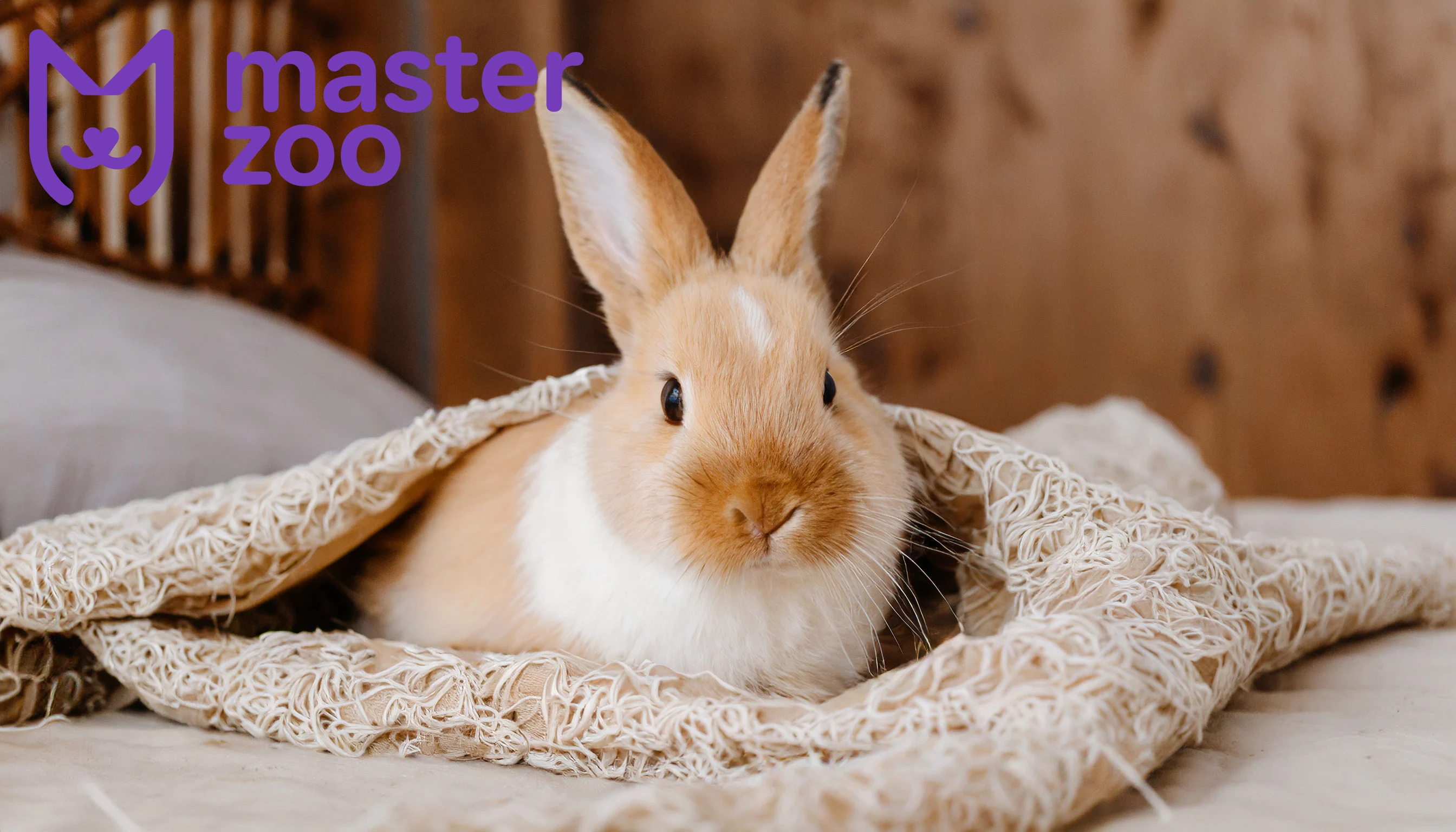 Кролик | Зоомагазин MasterZoo