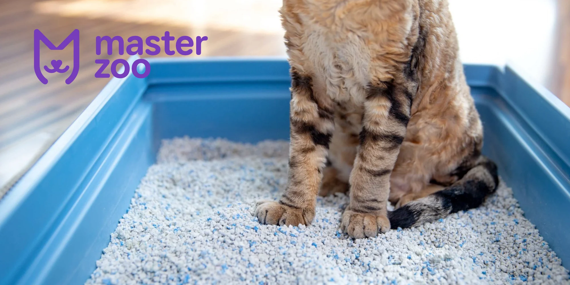 наповнювачі для котів| MasterZoo