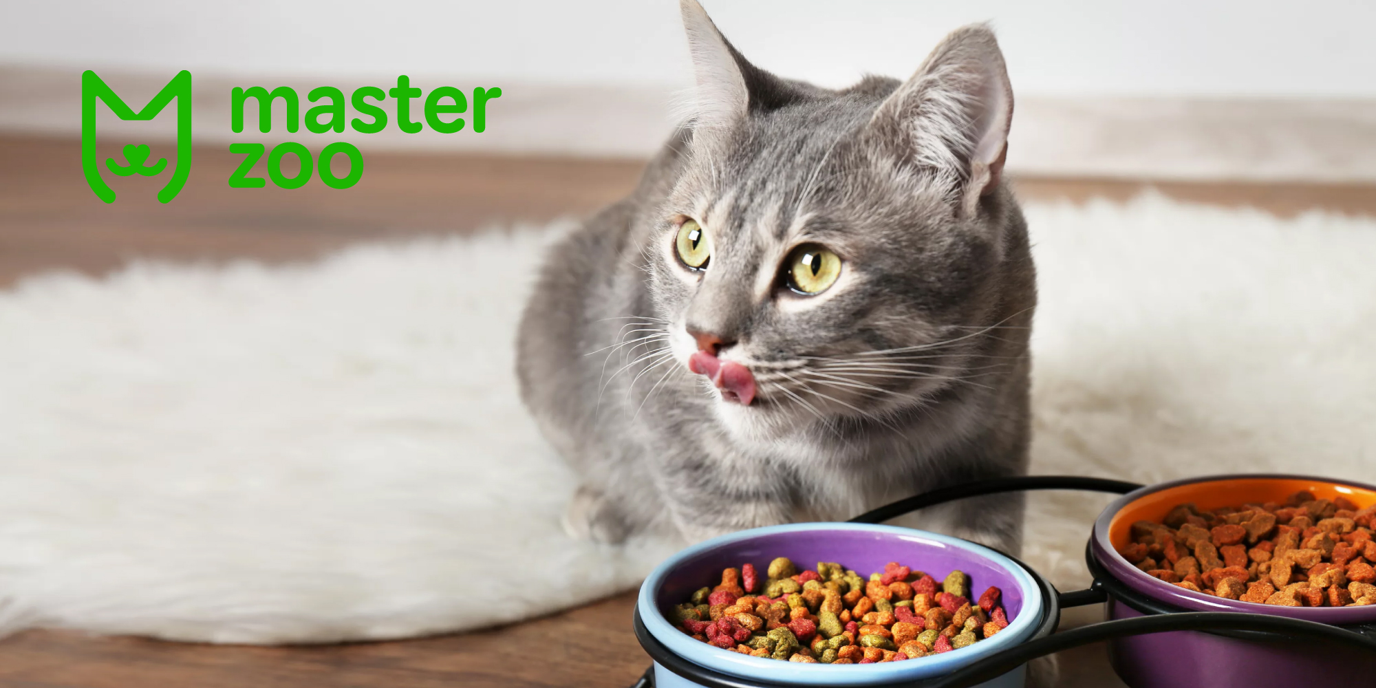 Підбір миски для кота | MasterZoo