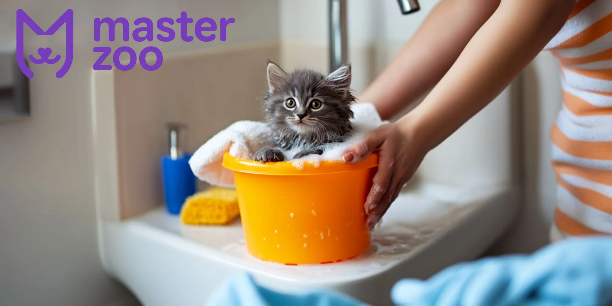Найкращі шампуні для котів | MasterZoo