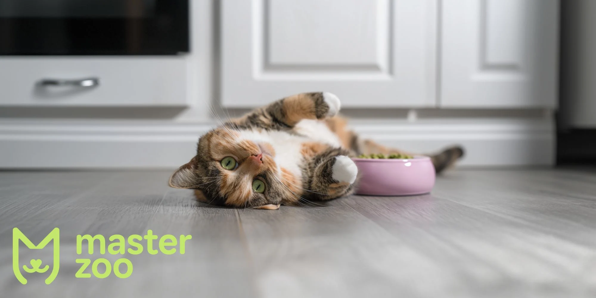 міфи про котячу м'яту  |  MasterZoo