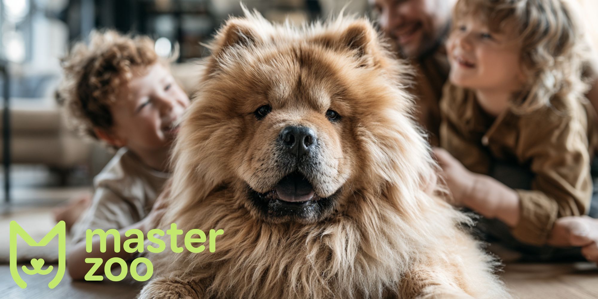 Чау-чау у сім'ї з дітьми |  MasterZoo 