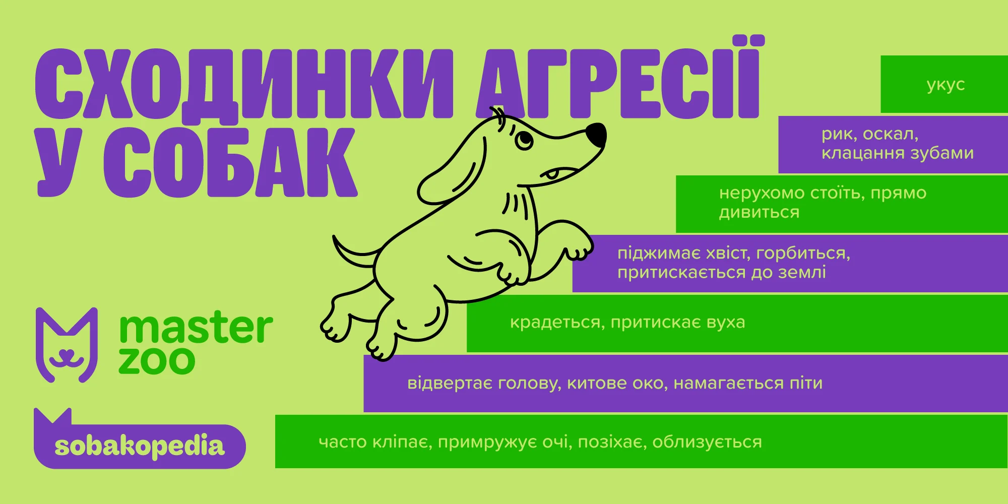 Сходинки агресії у собак | Зоомагазин MasterZoo