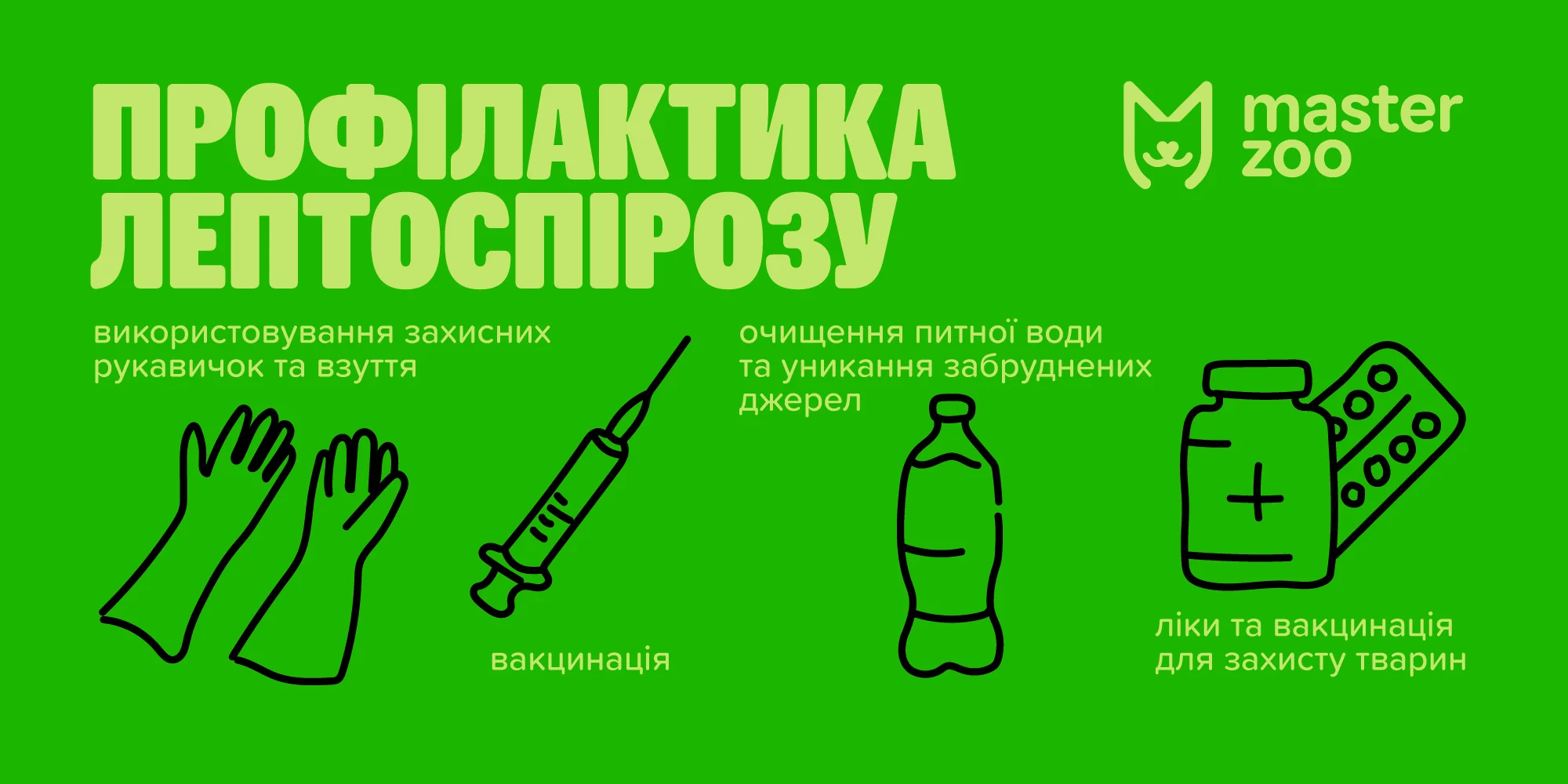 Инфографика лаптоспироз | MasterZoo