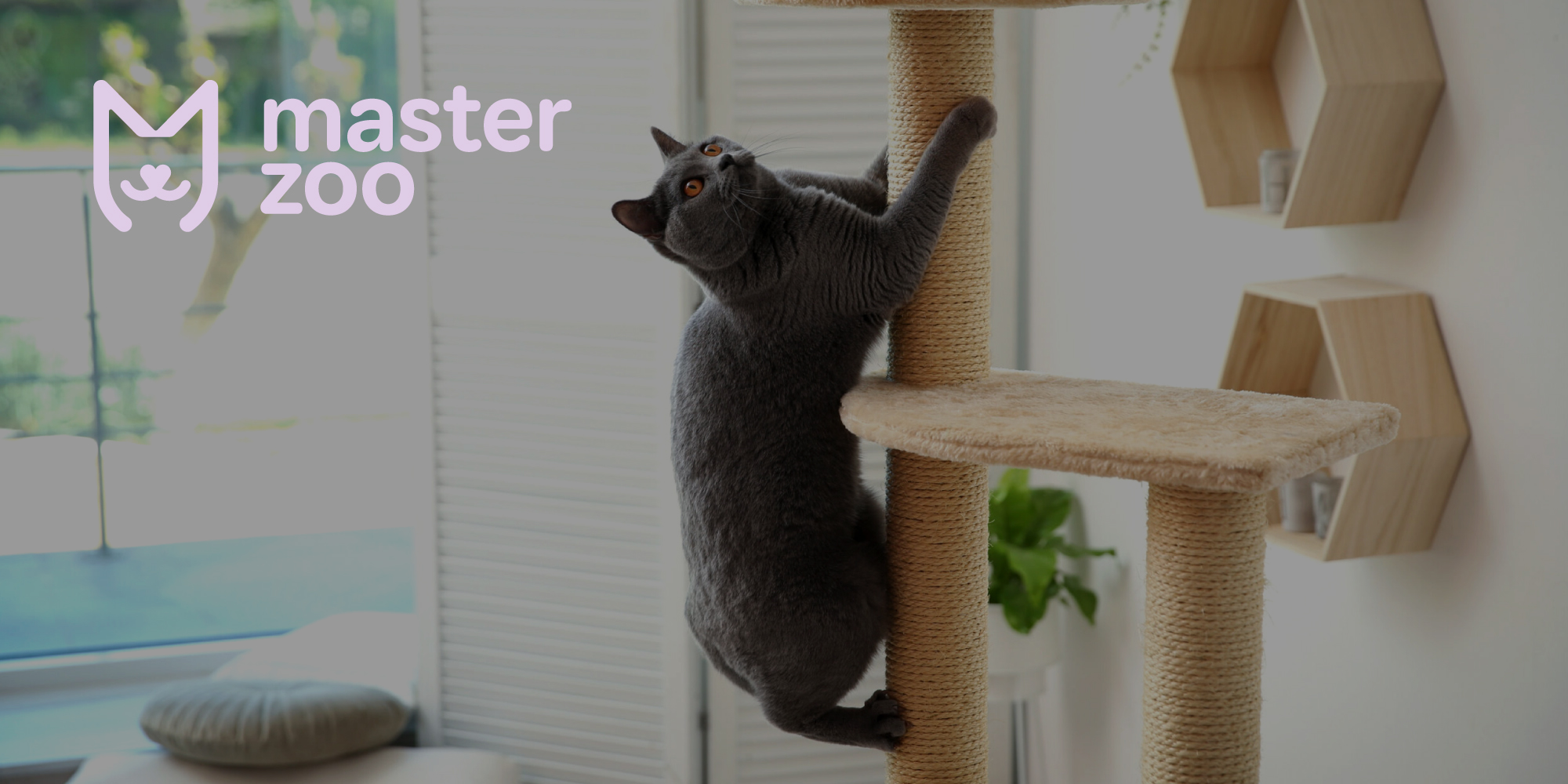 Місце для кігтеточки | MasterZoo