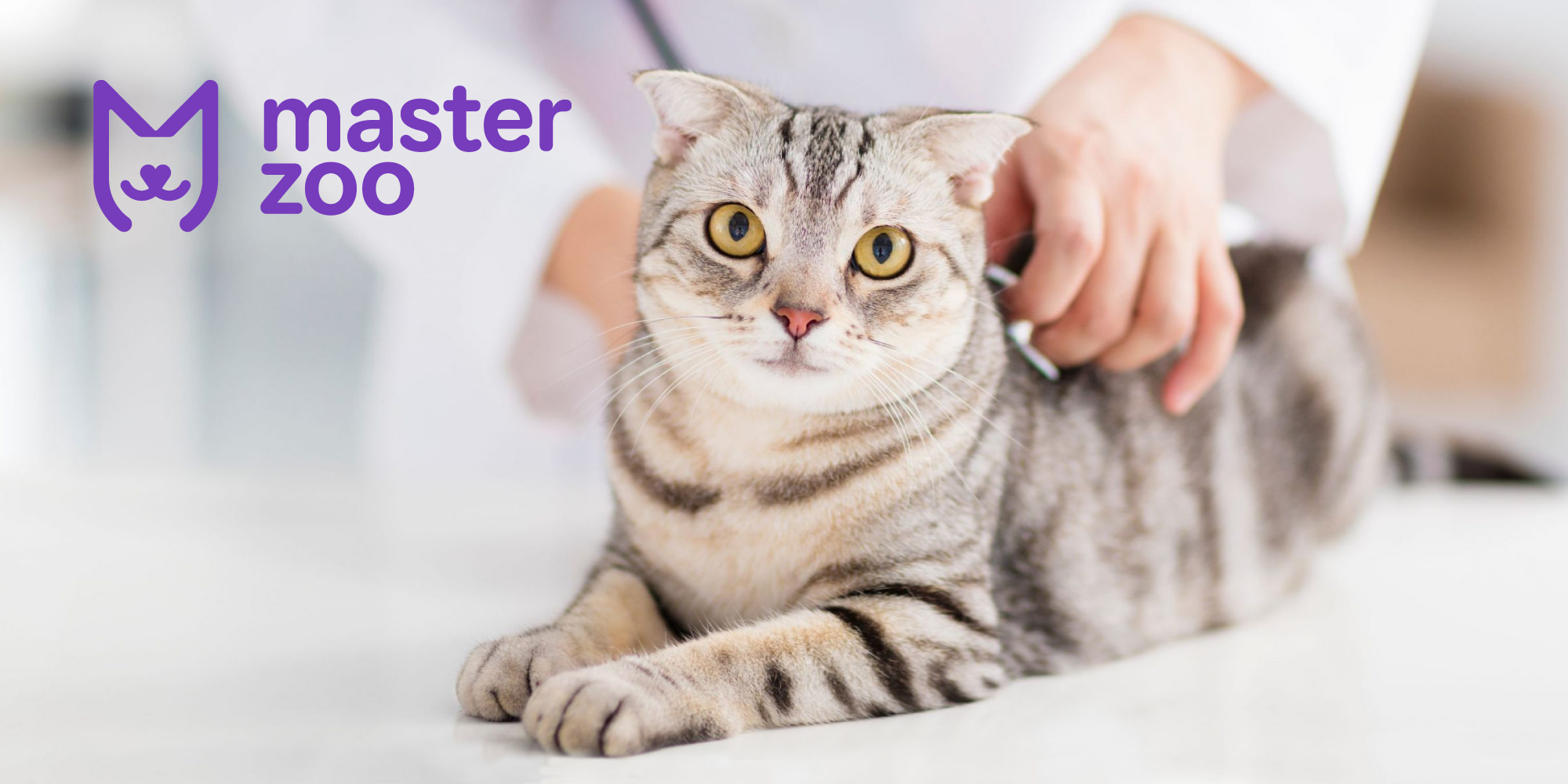 Дихальна сиситема котів | MasterZoo