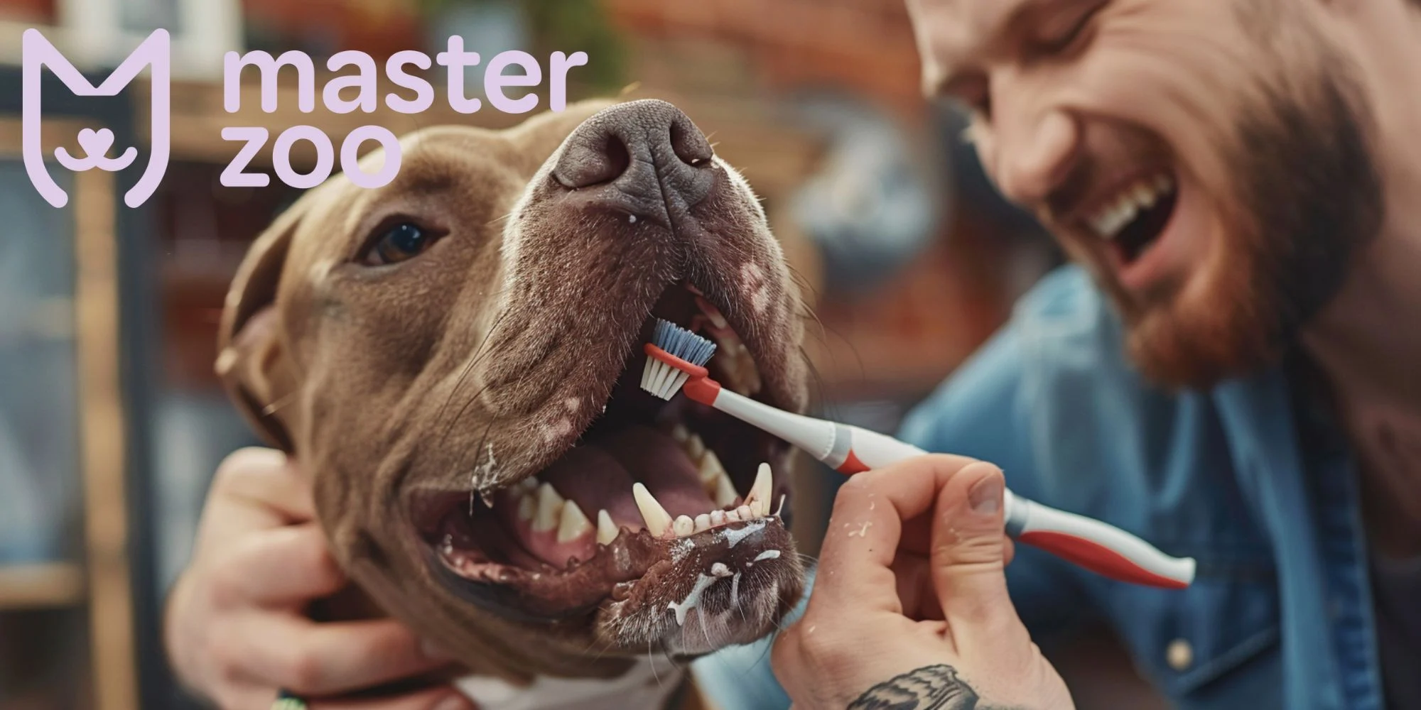 як зберегти зуби чистими | Зоомагазин MasterZoo