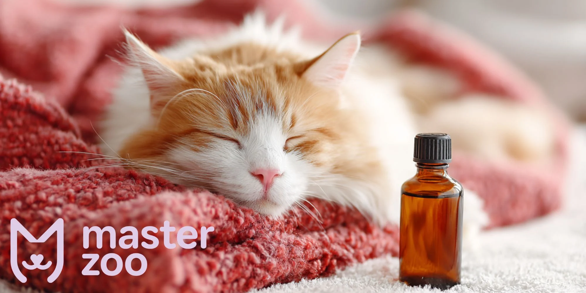 що таке заспокійливі для котів | MasterZoo