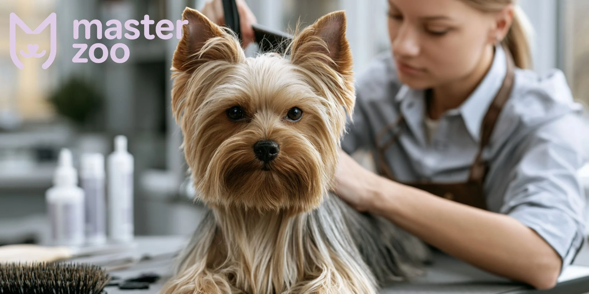 Догляд за маленьким породами  | MasterZoo