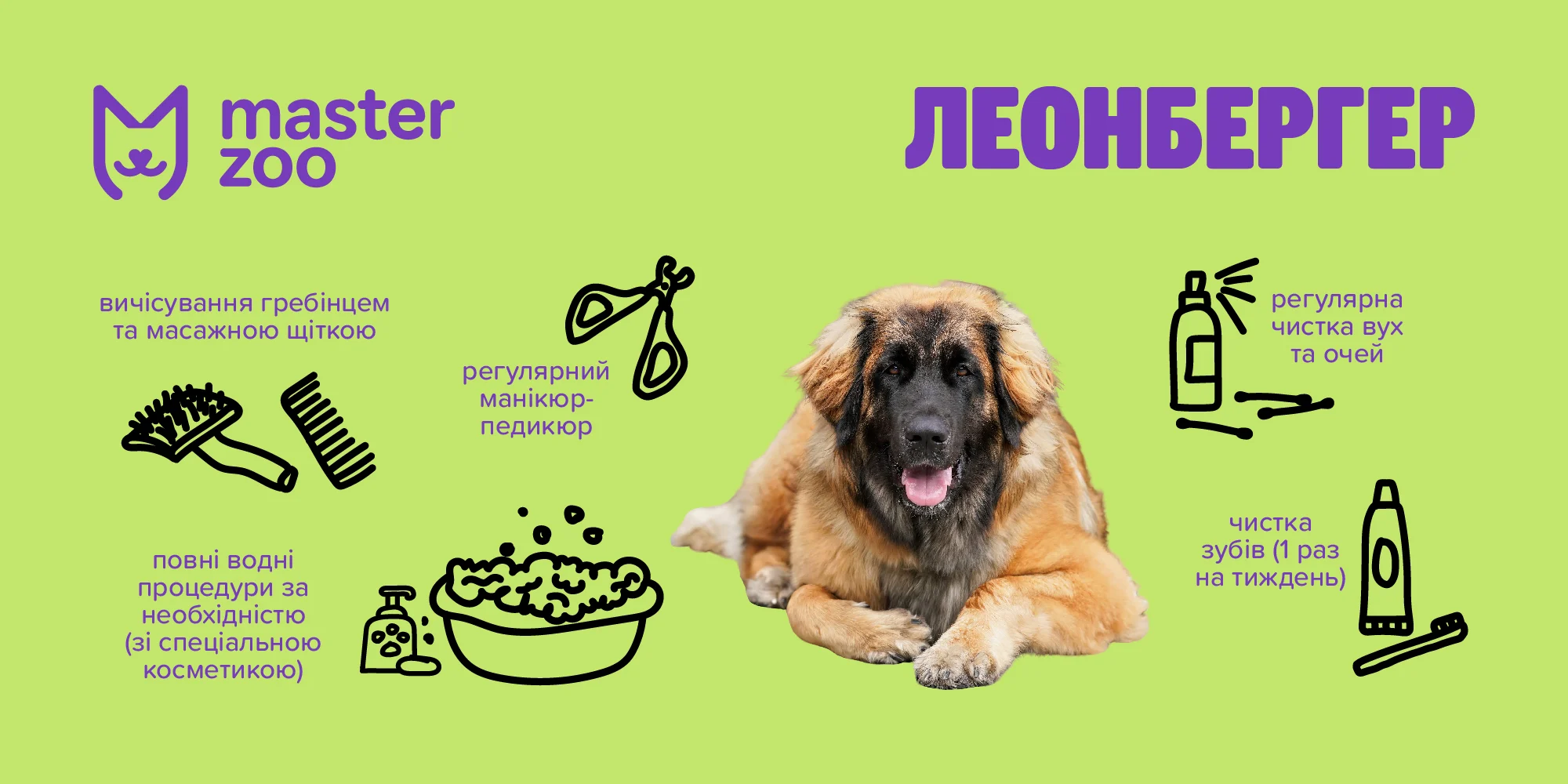 Леонберг | MasterZoo